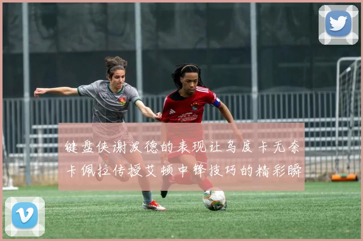 键盘侠谢泼德的表现让乌度卡无奈卡佩拉传授艾顿中锋技巧的精彩瞬间